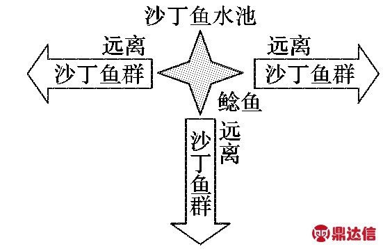 width=202,height=131,dpi=110