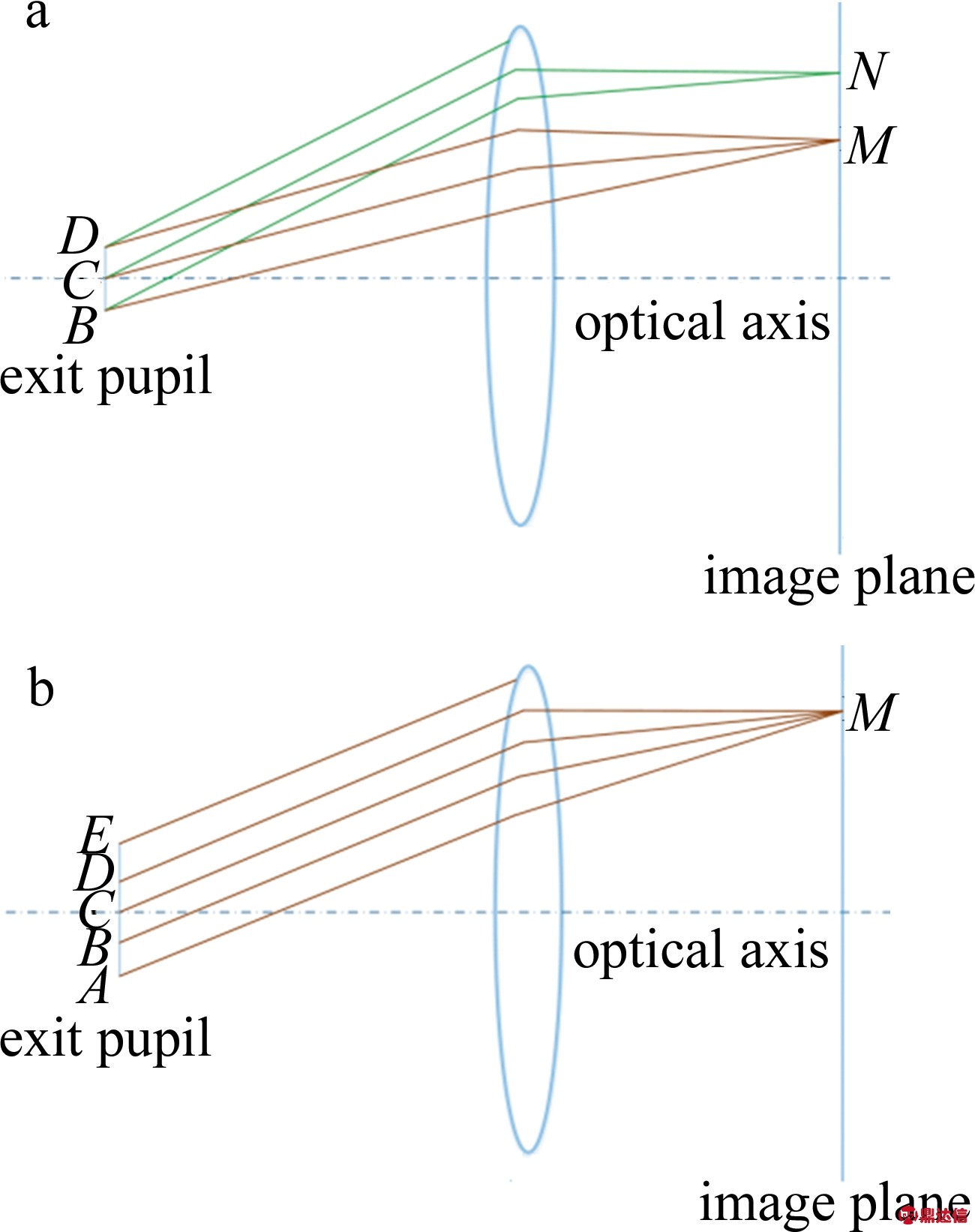 width=238,height=301,dpi=110