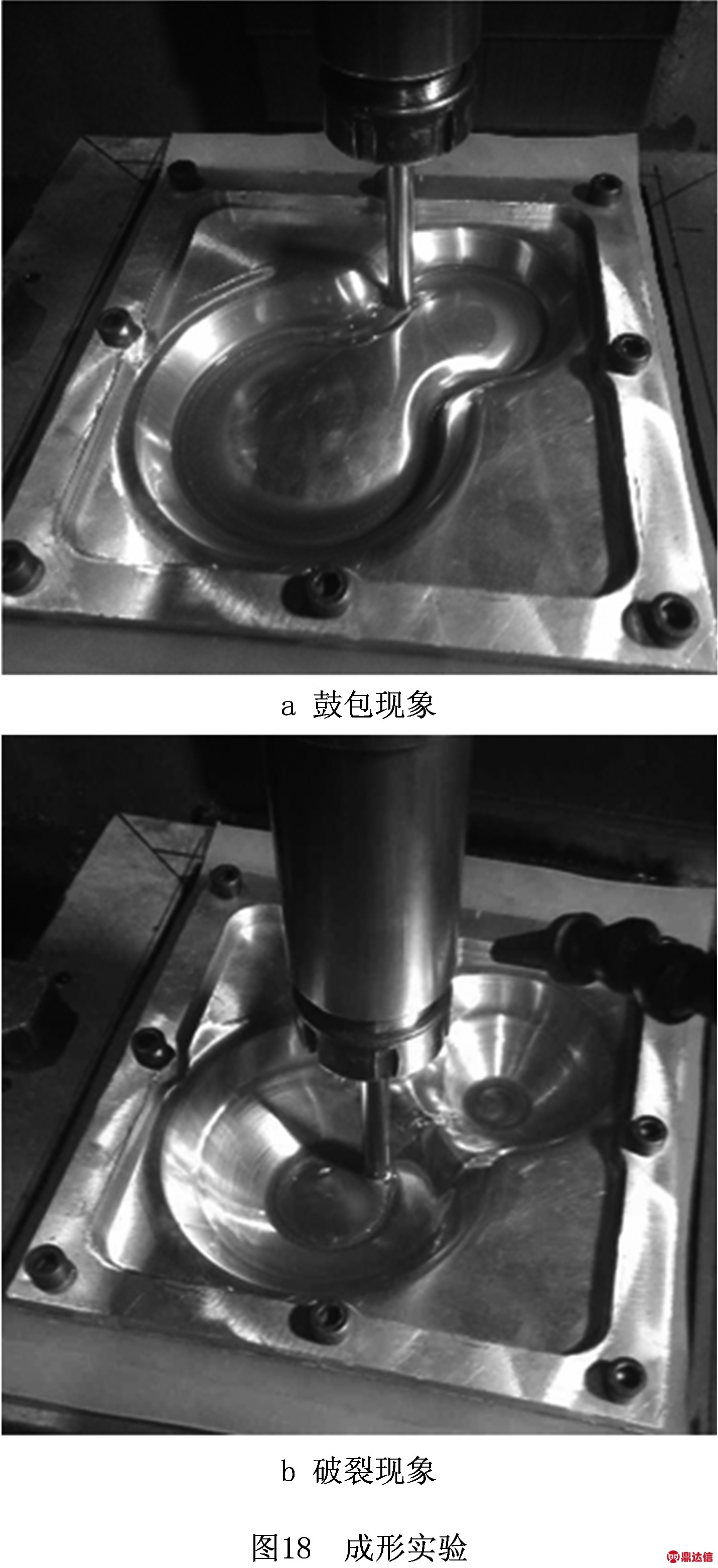 width=262,height=572,dpi=110