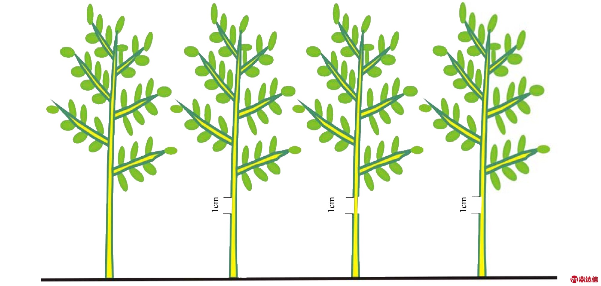width=736,height=350,dpi=110
