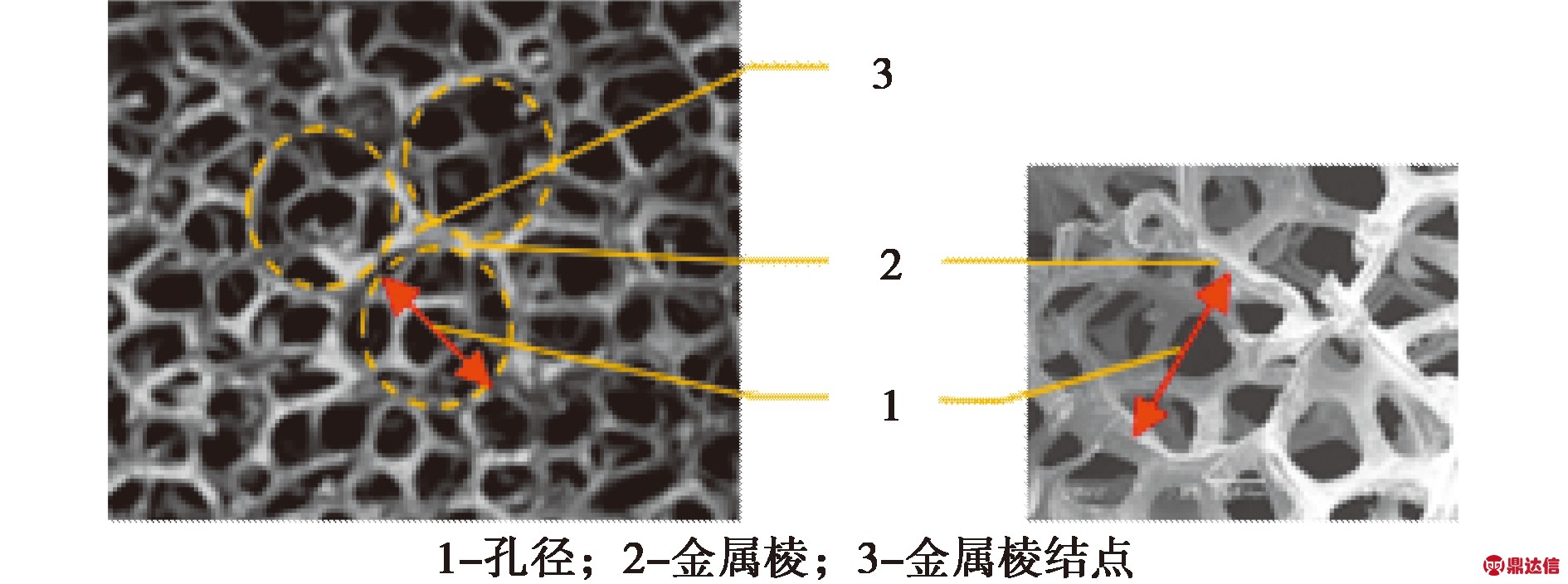 width=346,height=129,dpi=110