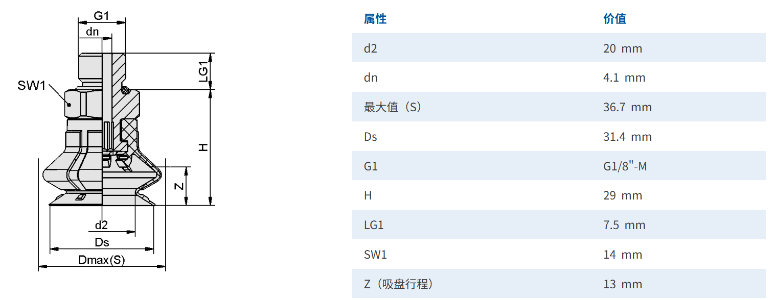 1分外牙尺寸