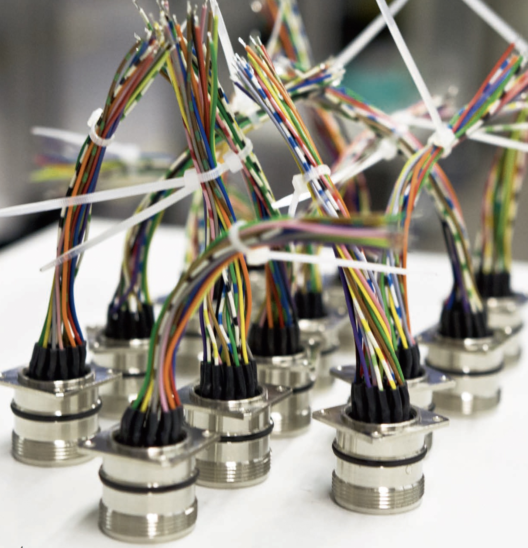 Xnip2026-01-25_15-16-09