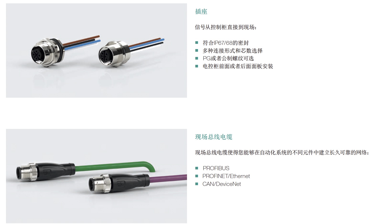 Xnip2026-01-25_15-22-47